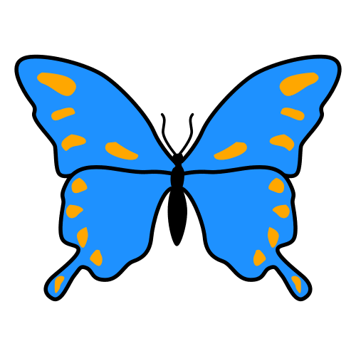 butterfly