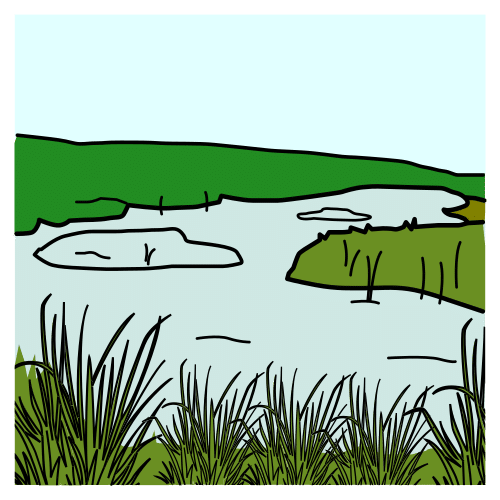 pantano