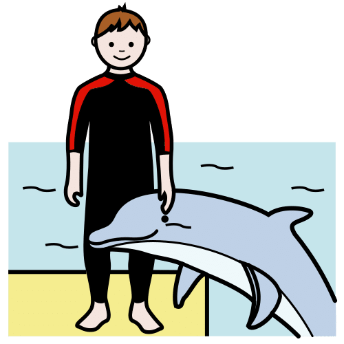 dolphin assisted therapy