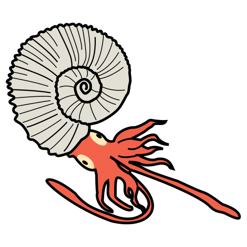 ammonite