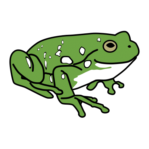 tree frog