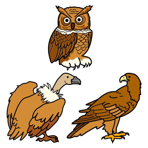 roofvogels