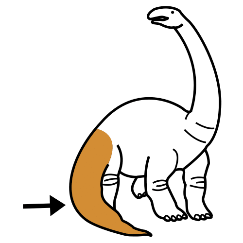 dinosaur tail