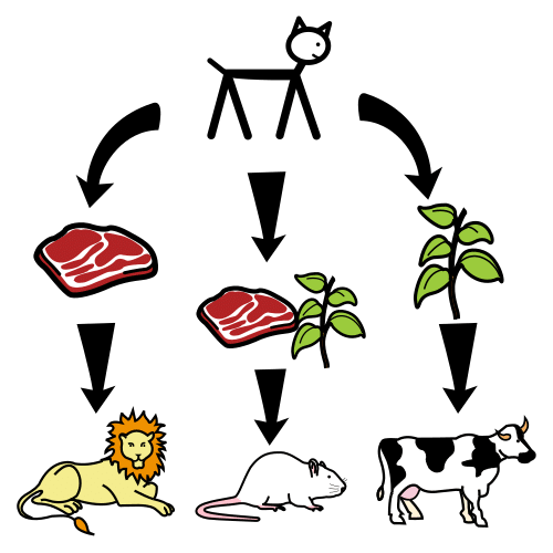 conceptueel schema