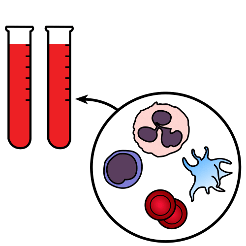 haematology