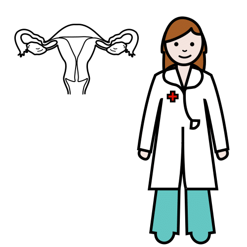 gynaecologist