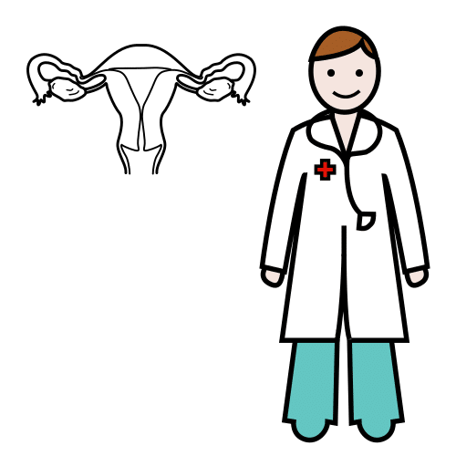 gynaecologist