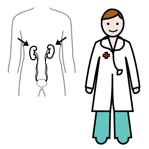 nephrologist