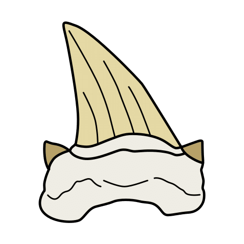 diente de tiburÃ³n