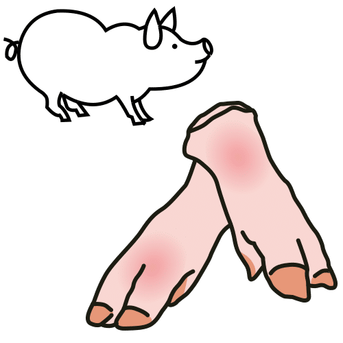 pig's trotters