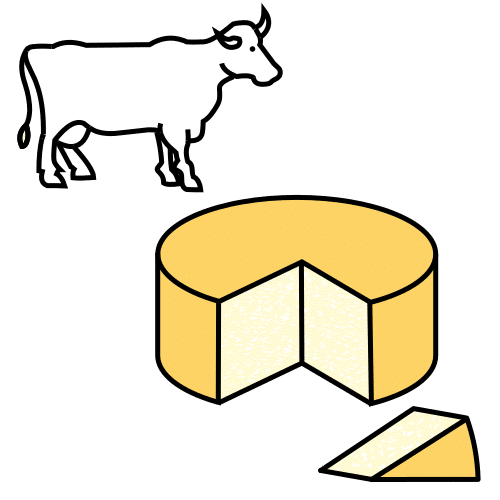 cow's-milk cheese