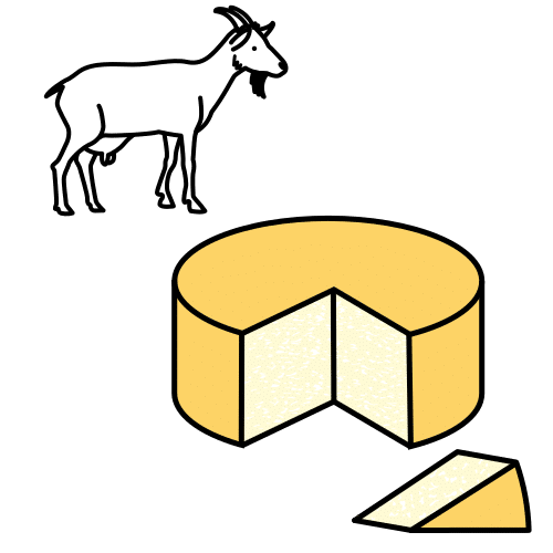 goat milk cheese