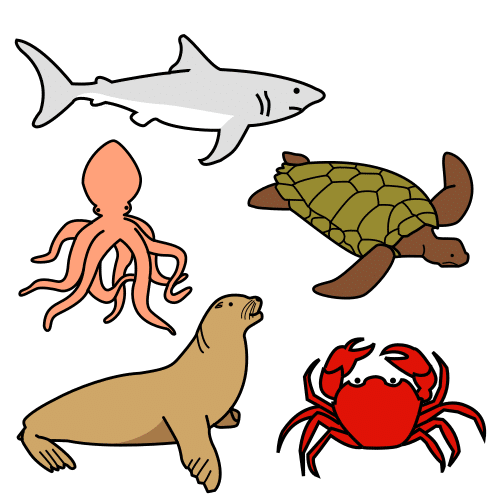 animales marinos