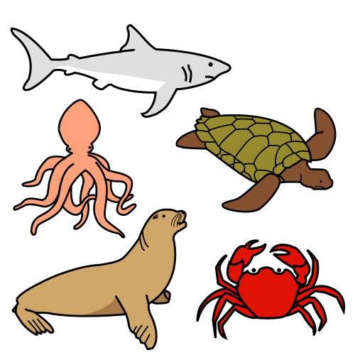 marine animals in ARASAAC · Global Symbols