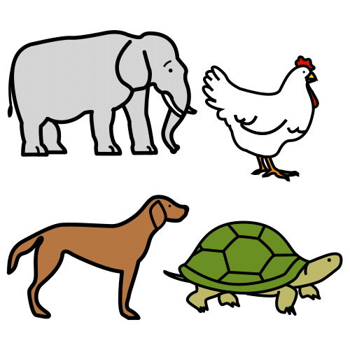 animales terrestres