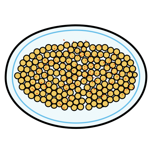 cuscÃºs israelÃ­