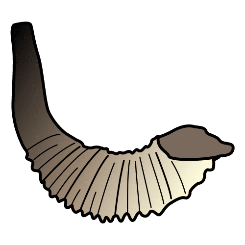 shofar