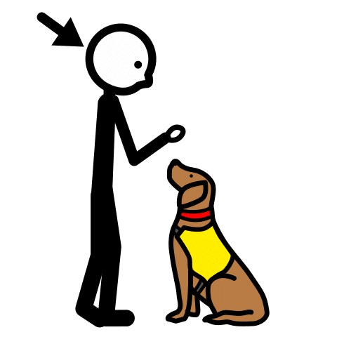 animal-assisted therapist