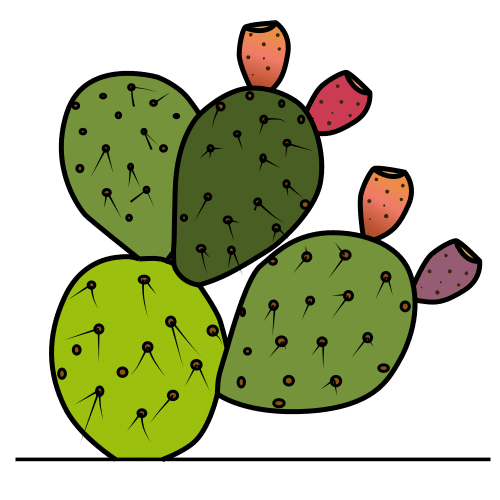 prickly pear cactus