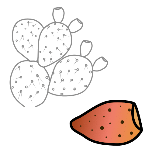 prickly pear