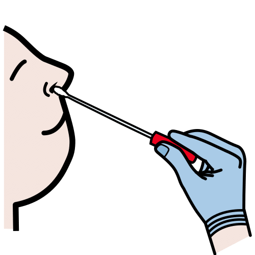 nasal swab test