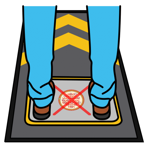 desinfectar los zapatos