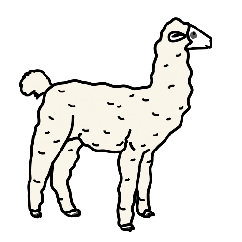 alpaca