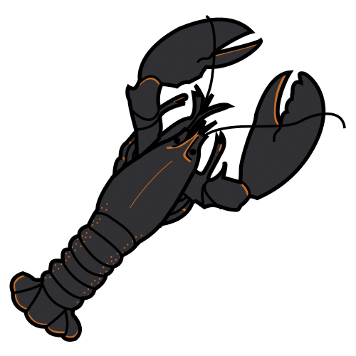 lobster