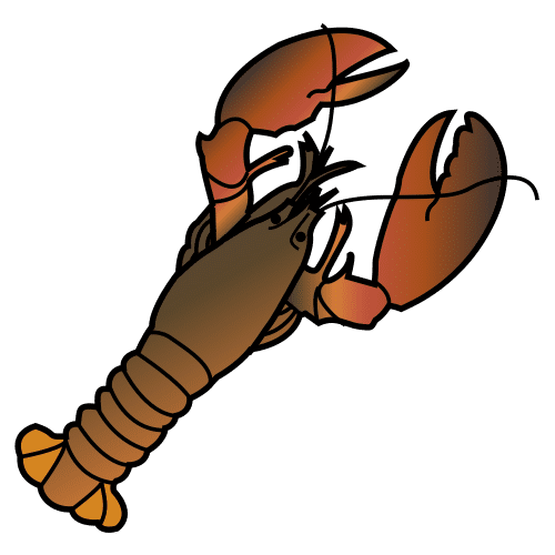 American lobster