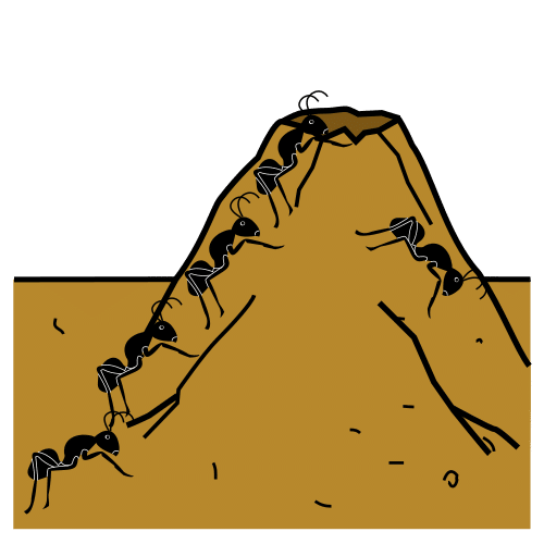 anthill