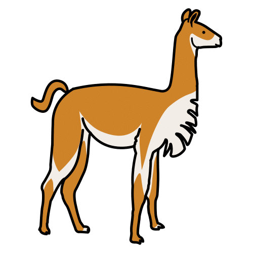 vicuna