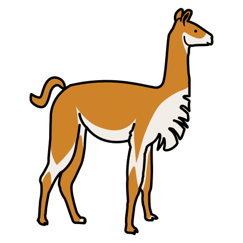 vicuña