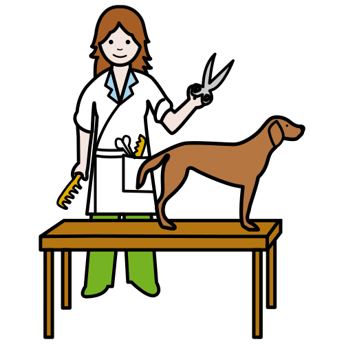 dog groomer