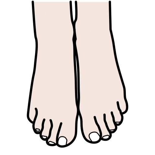 feet