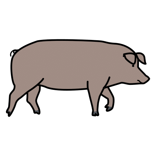 cerdo ibérico