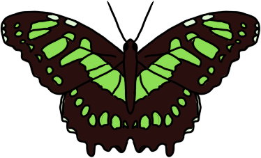 malachietvlinder