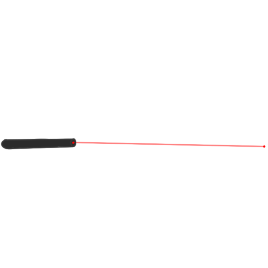 laser pointer