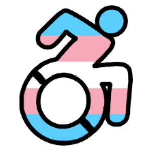 disabled trans pride