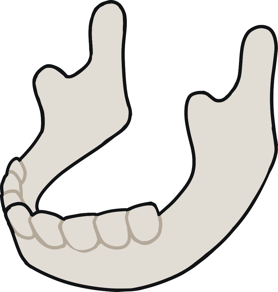 jawbone