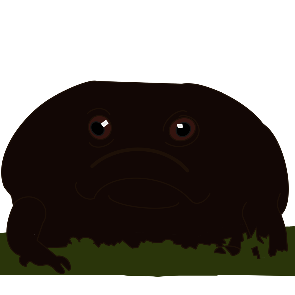 black rain frog