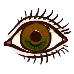 eye (brown)