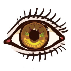 eye (hazel)