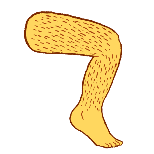 leg