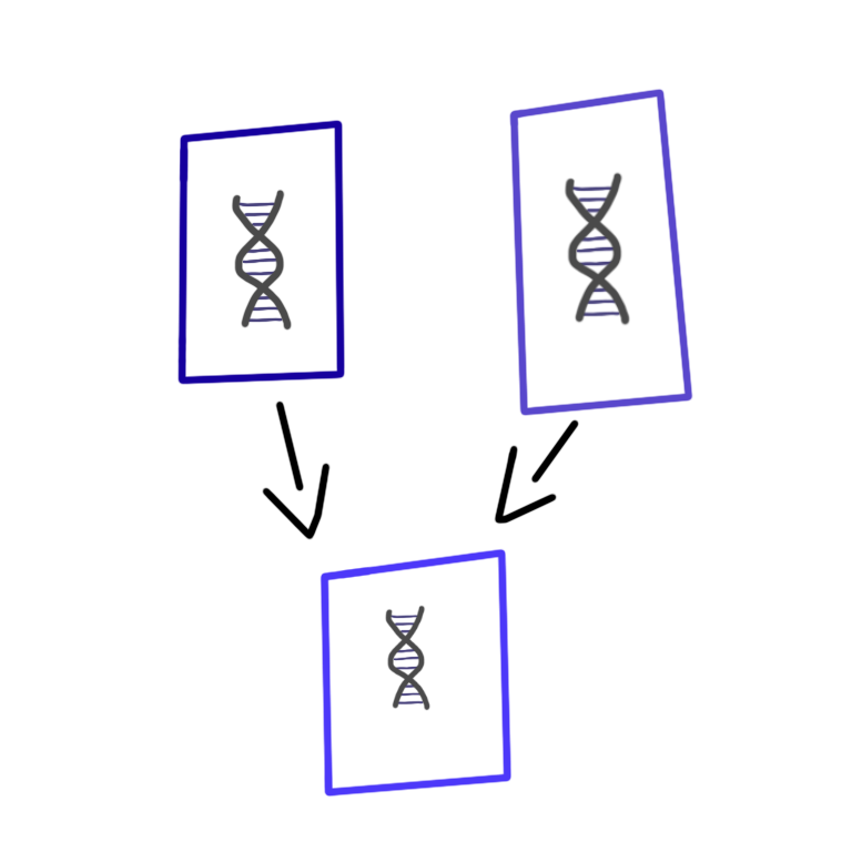 vertical gene transfer