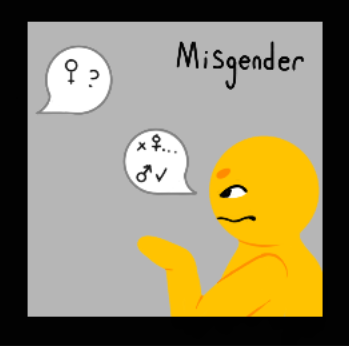 misgender