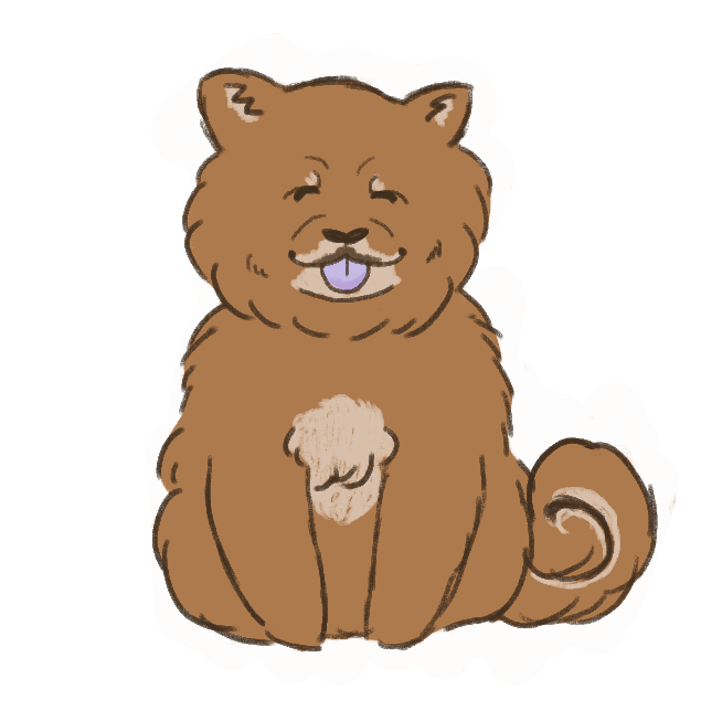 chow chow