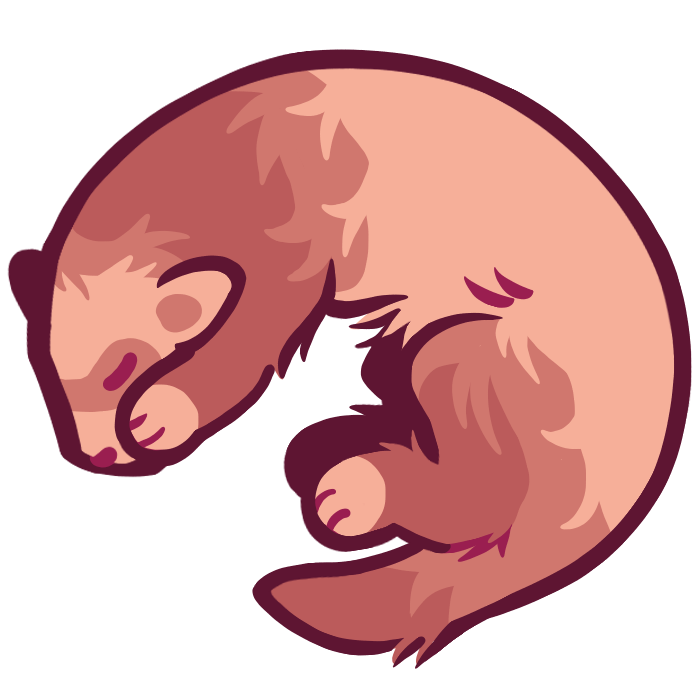 ferret