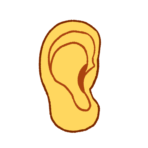 ear