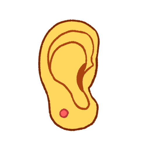 ear