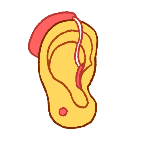 ear